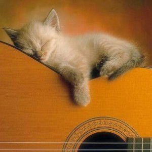 Miss Ainy profile icon