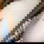 Mayen Faj profile icon