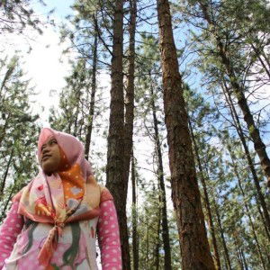 Vivih Diana Saraswati profile icon