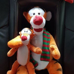 Kung Ohlanla profile icon