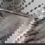 Pongpat Judjud profile icon