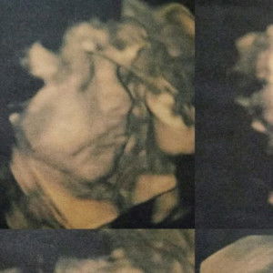 Shelfi Kusniawati Pangestu profile icon