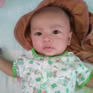 ヌック ヌック profile icon