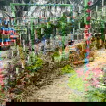 Ade Riariasih profile icon