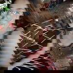 ธนาพา profile icon