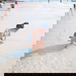 ที่อยู่ ของ จิตใจ profile icon