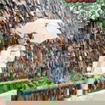 Wim Duang profile icon