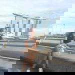 Chzarina Borrinaga profile icon