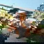 อาดจะไม่ ดีสักเท่าไหร่ profile icon