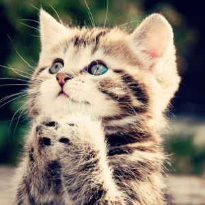 Nor Azlin profile icon