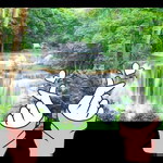 Wanatsanan Bunjam profile icon