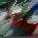 Nayanan Chusri profile icon