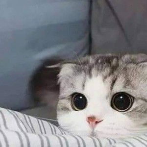 มั่งมี ศรีสุข profile icon