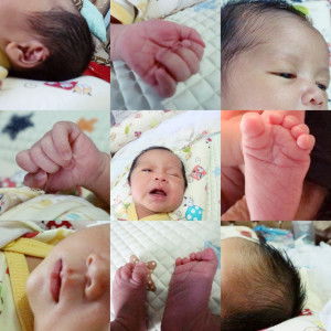 Ria Novrianti profile icon