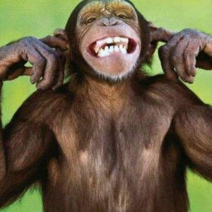 Wan Shazleen Erma profile icon