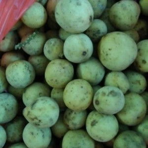 cik mempelam profile icon