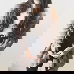 omptimum profile icon