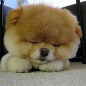 Paweena Maneenuan profile icon