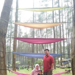 Desy Pebrianti profile icon