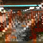 Daniat Rahim profile icon