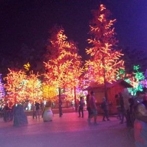 Rara Razali profile icon