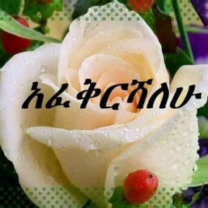 Budii Dwii profile icon