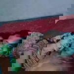 Persia Ithue Pessek profile icon