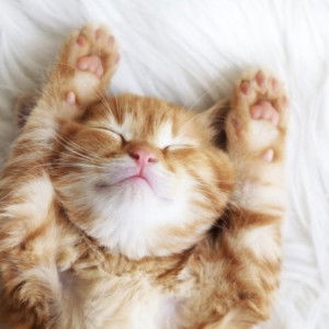 ❤️(@_@)❤️ profile icon