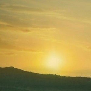 zulfa dzakiyah profile icon