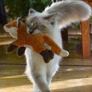 ieza haney profile icon