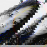 Ladymae Pagutlan profile icon