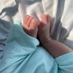 Apel Wayne profile icon