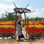 Nur Rohma profile icon