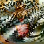 Bocah Bangoer profile icon