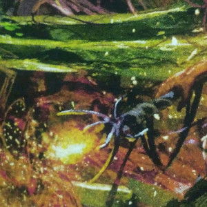 INDAHNYA KEINDAHAN profile icon