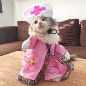 Mawar Berduri profile icon