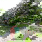 Dera Sutriani profile icon