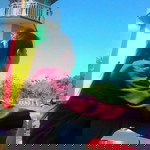 Dwi Oktafiani Efendi profile icon