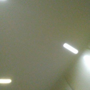 Idaferris profile icon