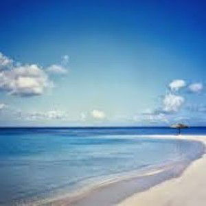 Vidia Novi profile icon