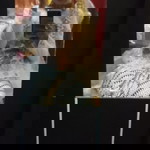 Putri marwah profile icon