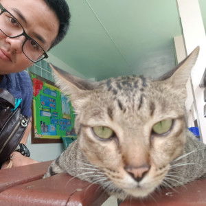 HaMu Mumu profile icon