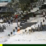 Shine Sabandal profile icon