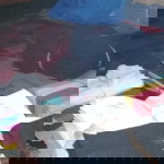 nyari istri profile icon