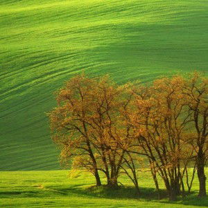 Vichuda Pakapien profile icon