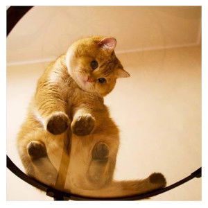 Puan Ieda profile icon