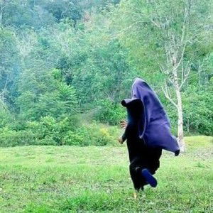 Ani Melani profile icon