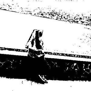 Puspitasari Puspitasari profile icon