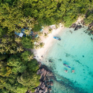 quang nguyen profile icon