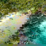 quang nguyen profile icon